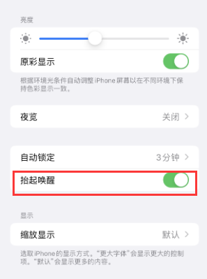 颍上苹果授权维修站分享iPhone轻点无法唤醒怎么办