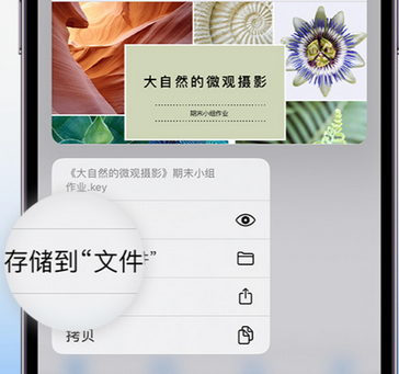 颍上apple维修中心分享iPhone文件应用中存储和找到下载文件