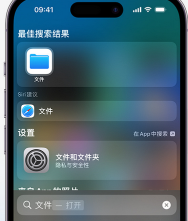 颍上apple维修中心分享iPhone文件应用中存储和找到下载文件 