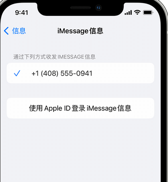 颍上apple维修iPhone上无法正常发送iMessage信息 