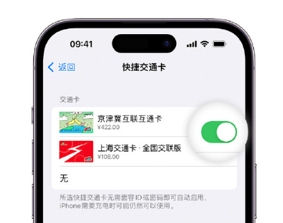 颍上apple维修点分享iPhone上更换Apple Pay快捷交通卡手绘卡面 