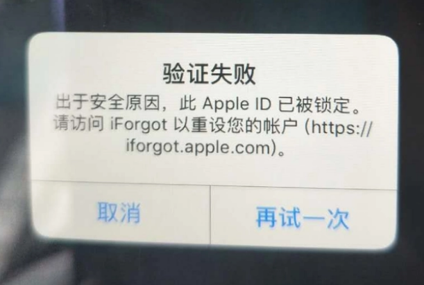 颍上iPhone维修分享iPhone上正常登录或使用AppleID怎么办 