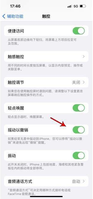 颍上苹果手机维修分享iPhone手机如何设置摇一摇删除文字 